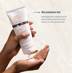 Hair Gummies + Daily Wellness Elixir + Integrity Intensive Treatment
